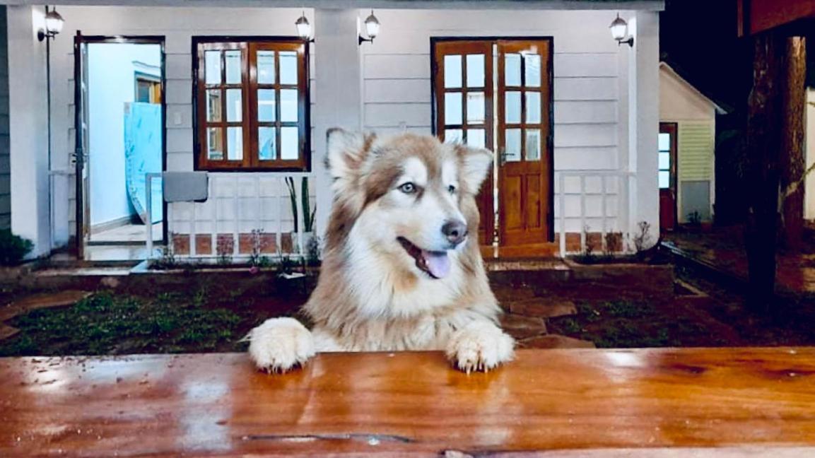 Nang Homestay Mang Den Kon Tum Exteriör bild